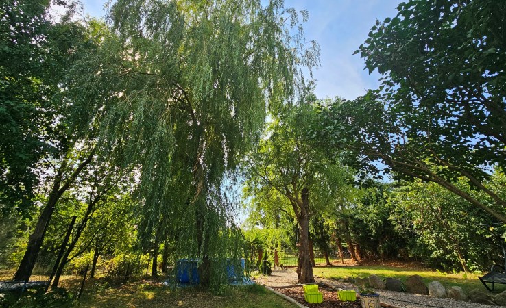 działka na sprzedaż - Bydgoszcz, Zimne Wody